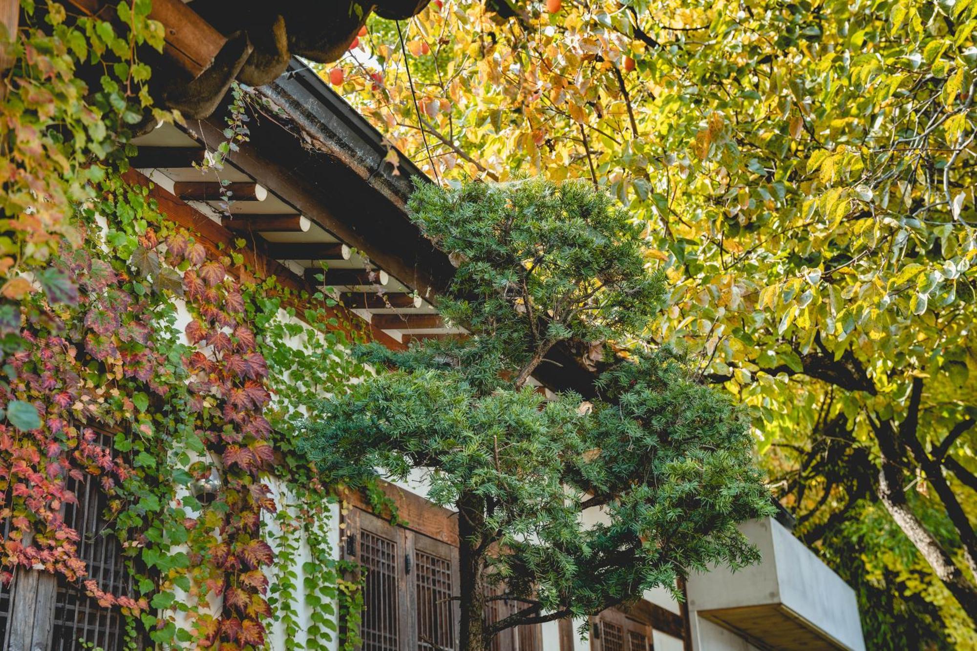 HotelArrive Jeonju Sihwayeonpung Bagian luar foto